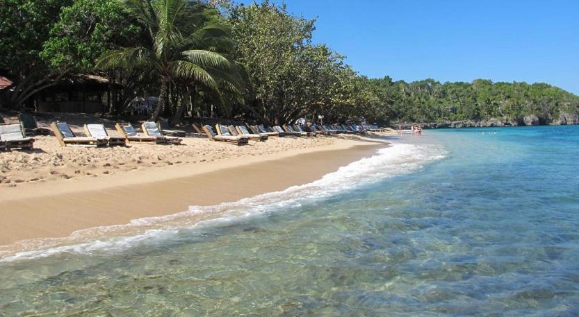 Tropical Luxury Dreams Villa Ocho Rios Exterior photo
